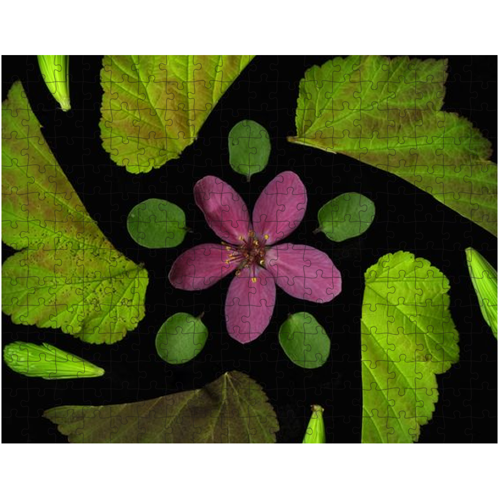 LAMK-AppleBloss-Puzzle-10x14-202503