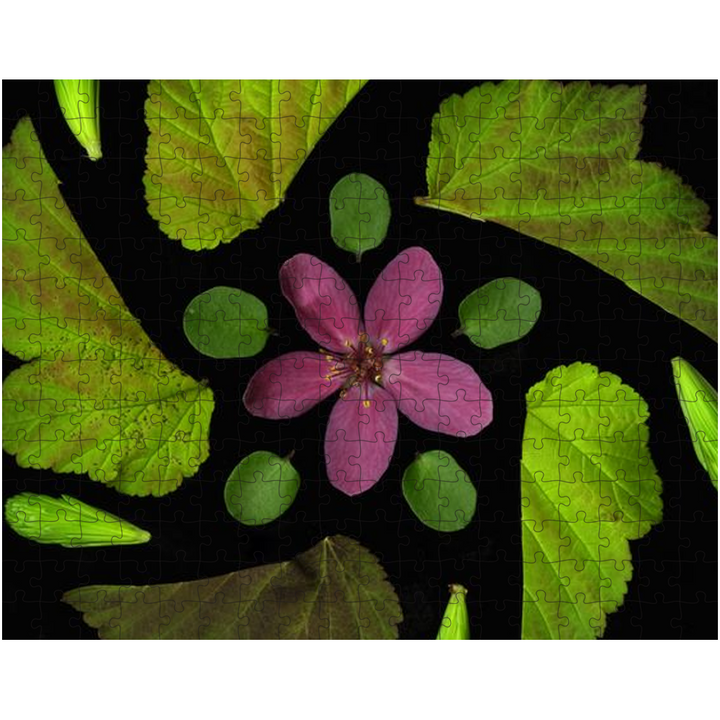 LAMK-AppleBloss-Puzzle-10x14-202503