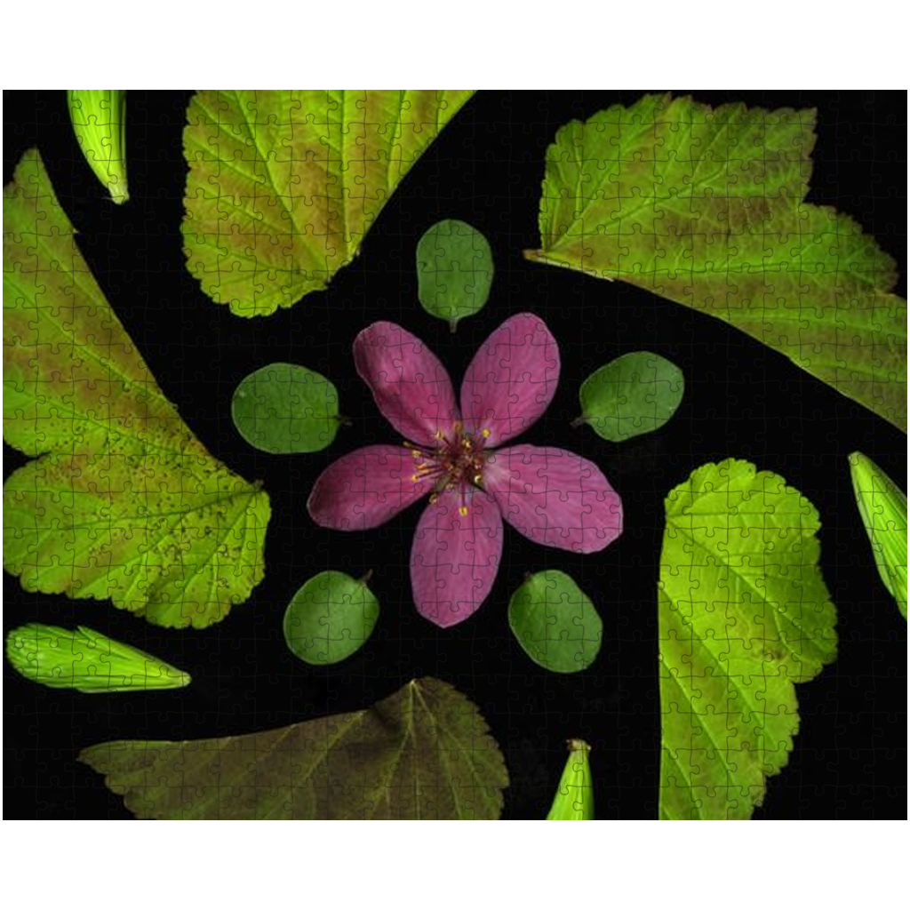 LAMK-AppleBloss-Puzzle-16x20-202503