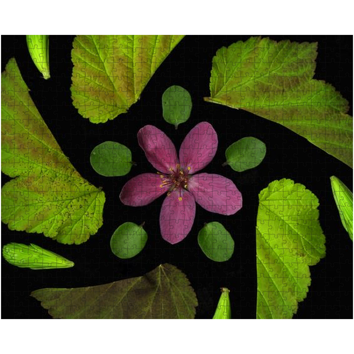 LAMK-AppleBloss-Puzzle-16x20-202503