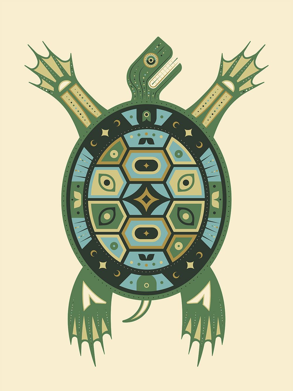 Painted Turtle