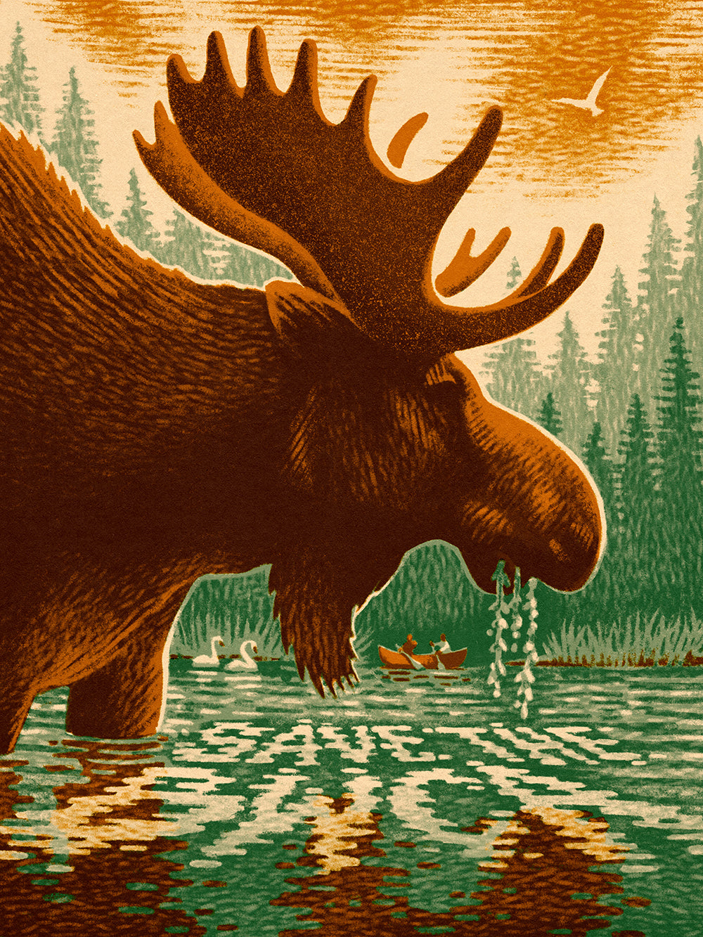 Save the BWCA