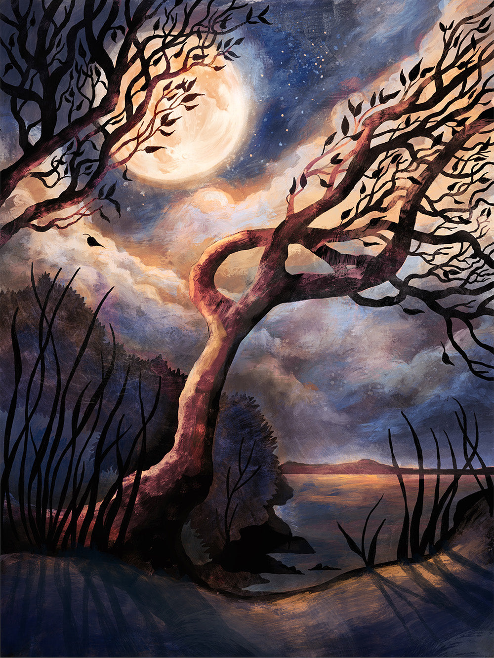 Night Light